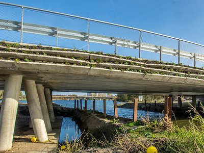 How do you build a sustainable and circular bridge?